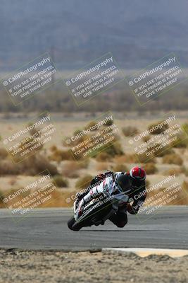 media/Apr-10-2022-SoCal Trackdays (Sun) [[f104b12566]]/Turn 5 Tree of Life (1040am)/